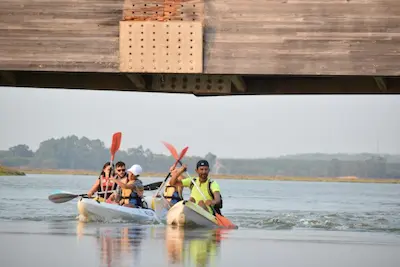 Alquiler de Kayaks y Paddle Surf